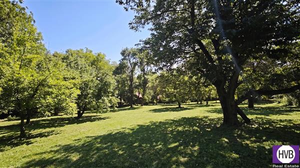 photo_11