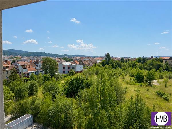 photo_3