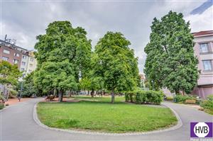 photo_5