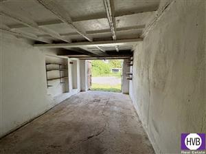 photo_3