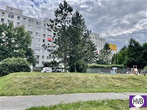 photo_12