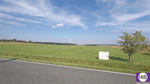 photo_1