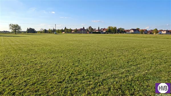 photo_6