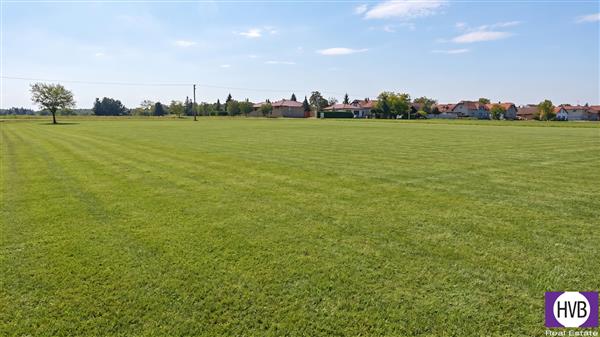 photo_7