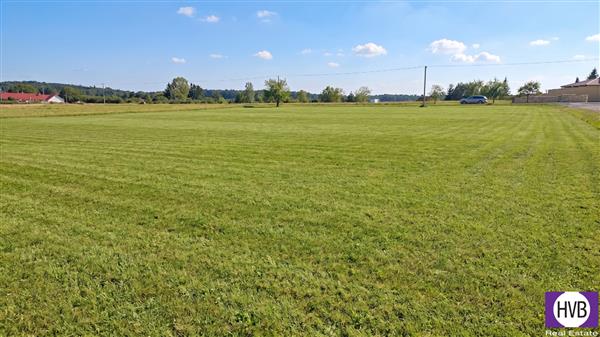 photo_8