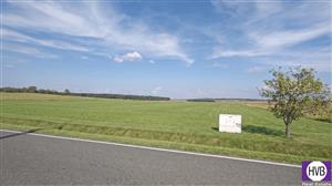 photo_1