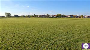 photo_6
