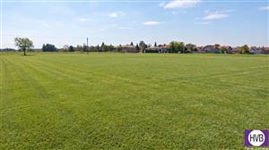 photo_7