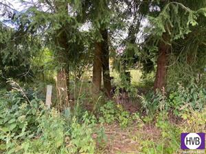 photo_1