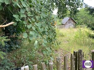photo_2