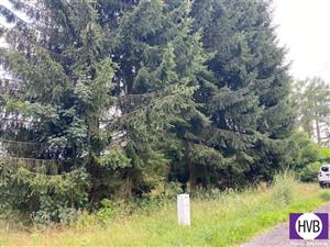 photo_3