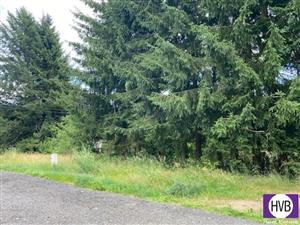 photo_5