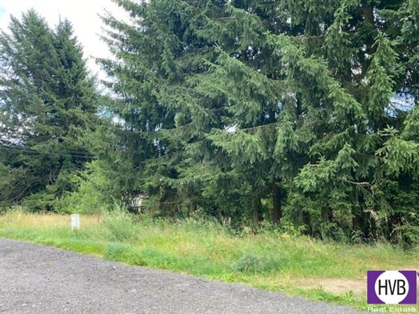 photo_5