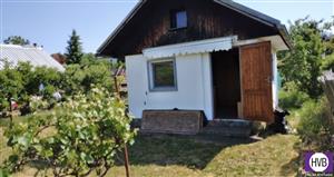 photo_1