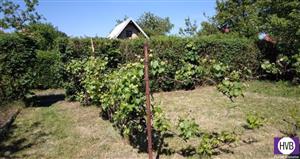 photo_2