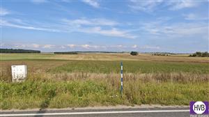 photo_2