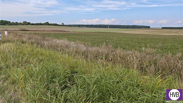 photo_5