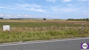 photo_6