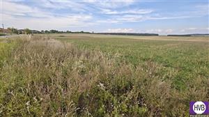 photo_9