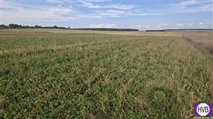 photo_10