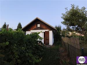photo_1