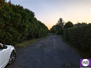 photo_8