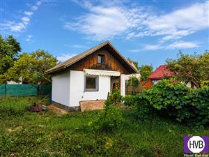 photo_1