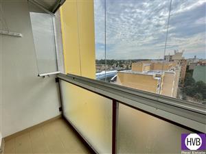 photo_11