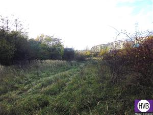 photo_3