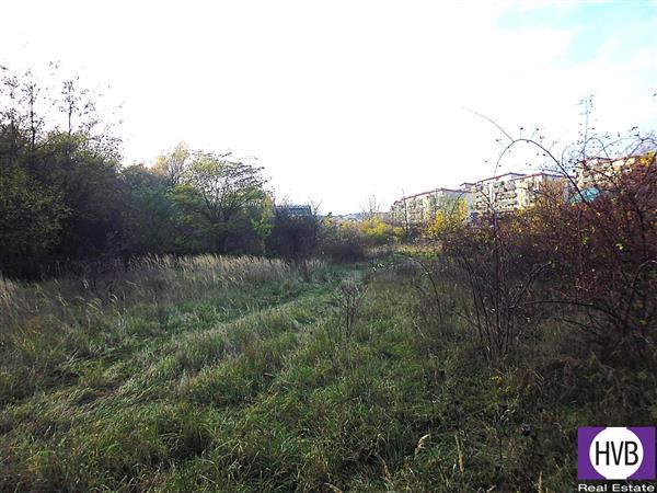 photo_3