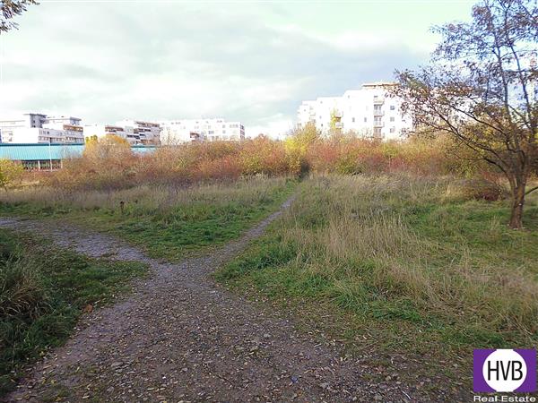 photo_5