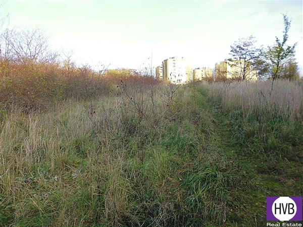 photo_6