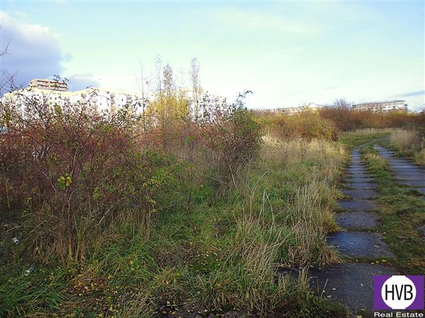 photo_7