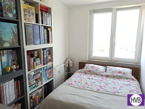 photo_4