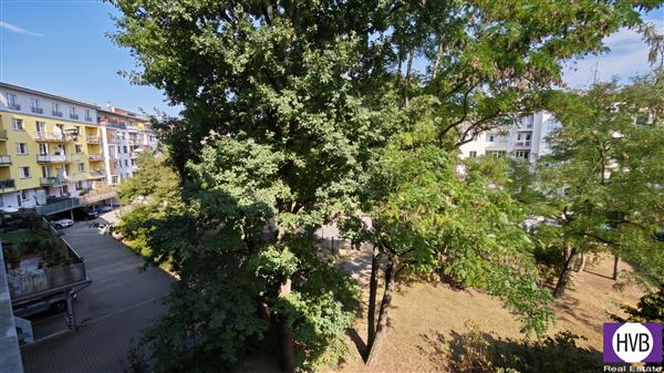 photo_11