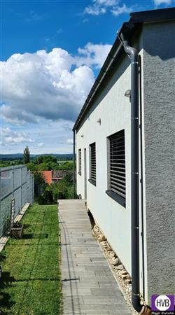 photo_4