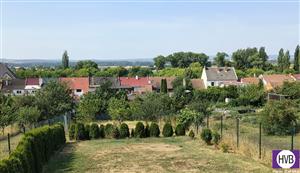 photo_6