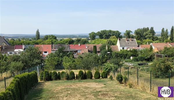 photo_6