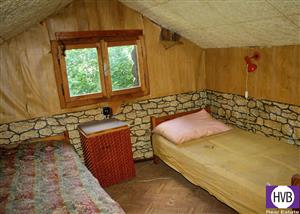 photo_3