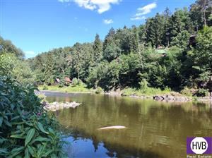 photo_5