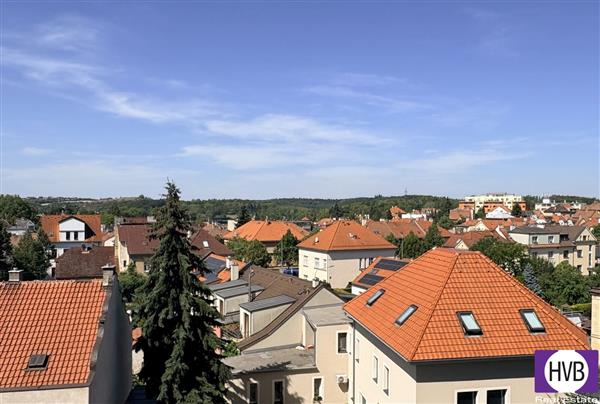 photo_12