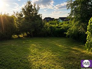 photo_10