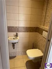 photo_8