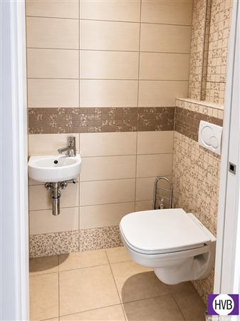 photo_8