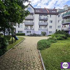 photo_1