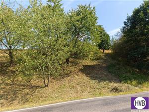 photo_1