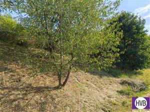 photo_2