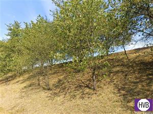 photo_4