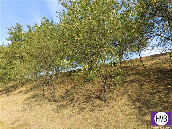 photo_4