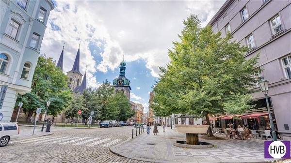 photo_15